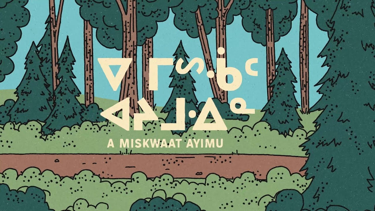 ᐁ ᒥᔥᒀᑦ ᐊᔨᒧᐎᓐ